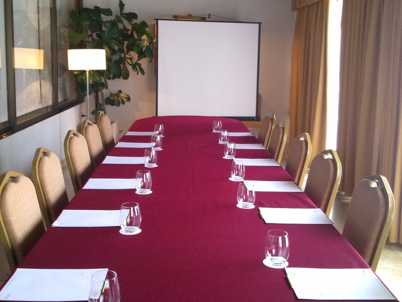 MEETING ROOM CEBREIRO<br />